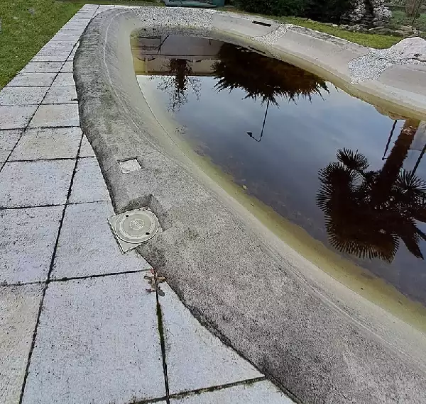 Piscina stile design problemi muffe sulle superfici