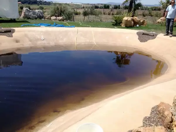 Piscina stile design problemi di proliferazione alghe nere